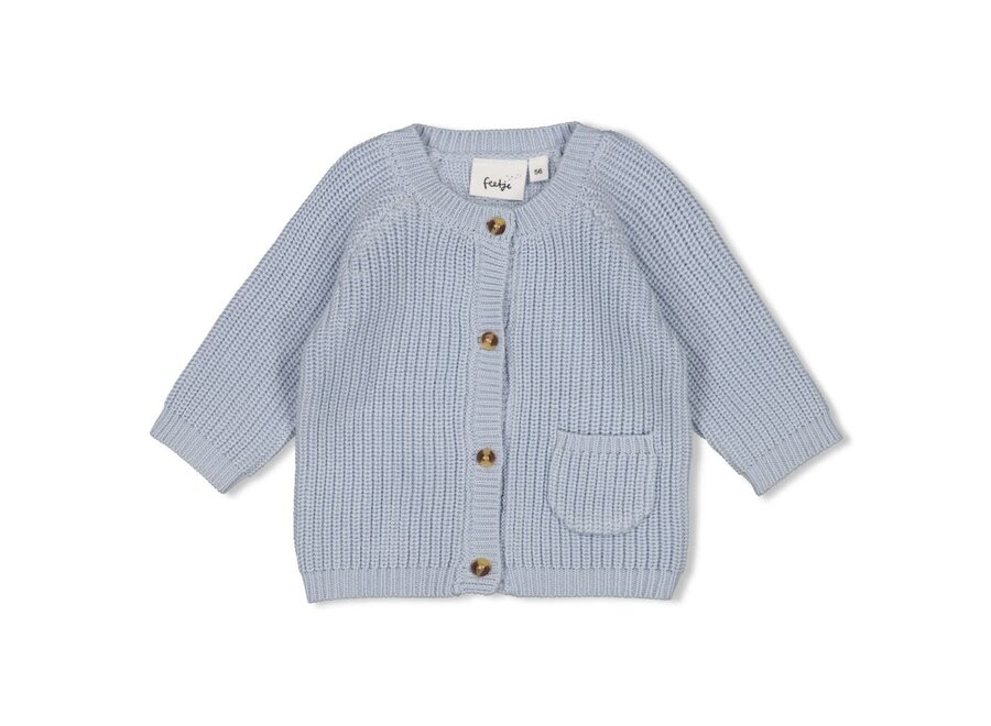 Vestje gebreid - The Magic is in You Blauw