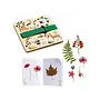 Knutselpakket DIY Herbarium - budding botanist