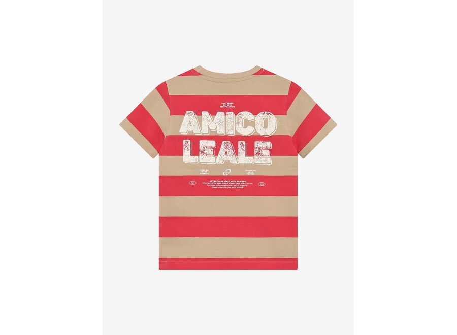 T-shirt Big Stripe - Red Chrysanthemum