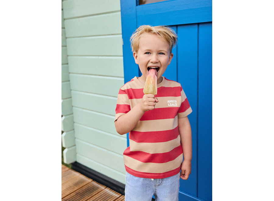 T-shirt Big Stripe - Red Chrysanthemum