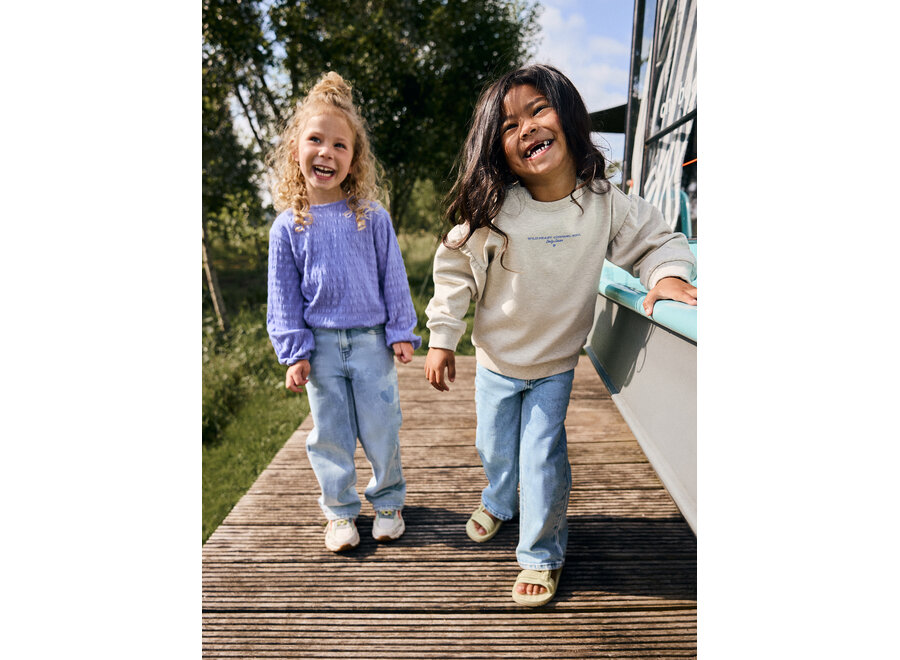 T-shirt Longsleeve Fancy - Lolite