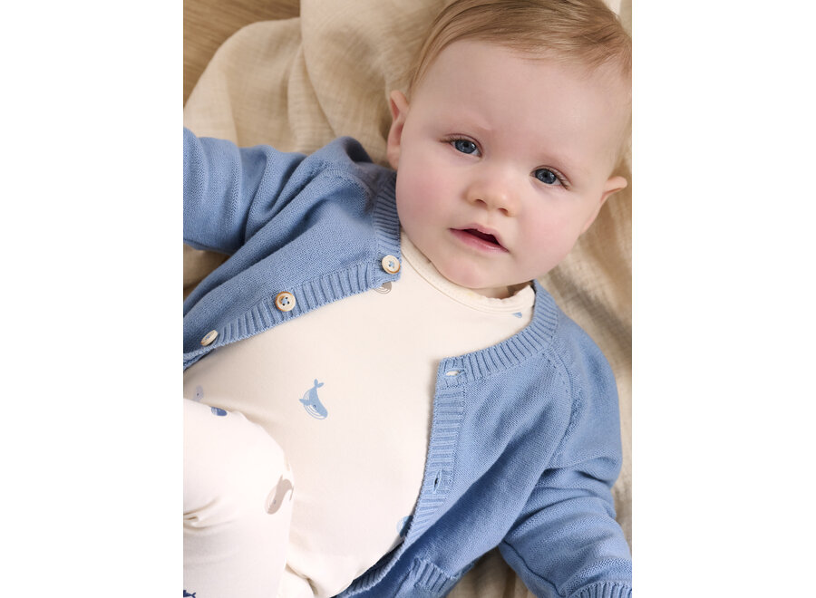 Vestje Cardigan Knit - Mountain Spring