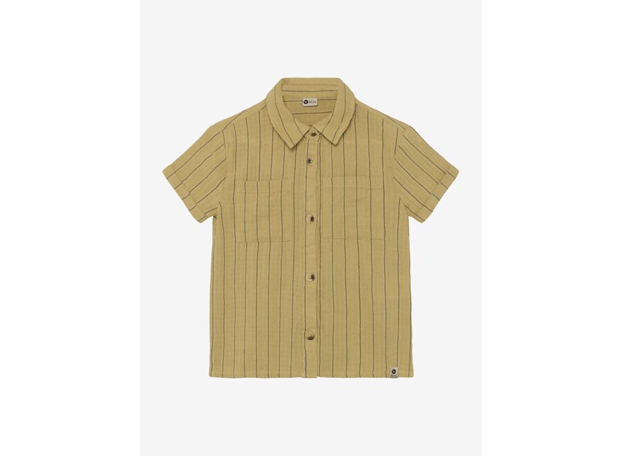 Shirt Small Stripe - Pale Olive Green