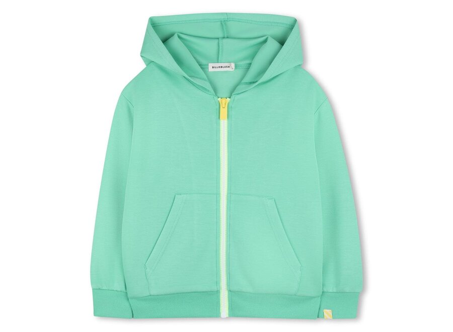 VEST MET KAP - DISCORD GROEN