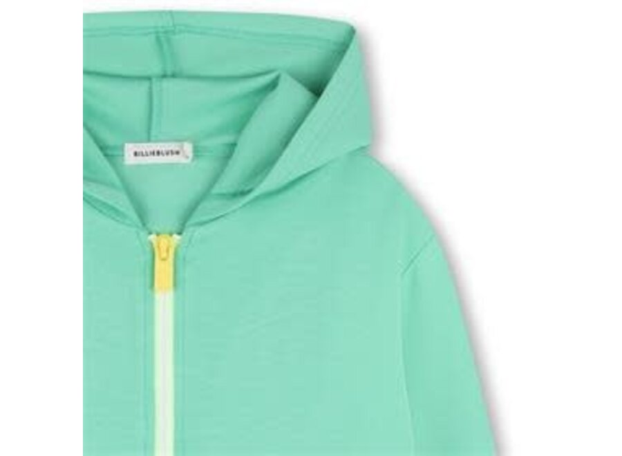 VEST MET KAP - DISCORD GROEN