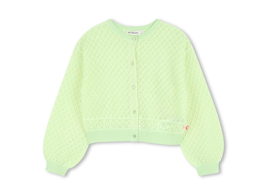 VEST CARDIGAN TRICOT | GROENE CITROEN