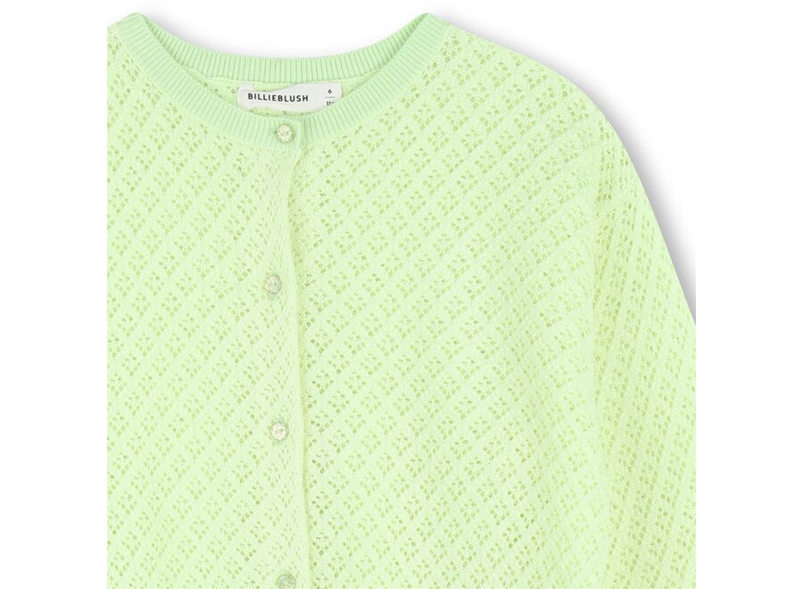 VEST CARDIGAN TRICOT | GROENE CITROEN