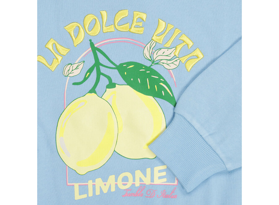 Trui Vital blauw - Limone