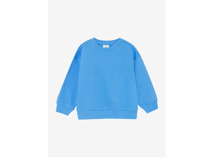 Trui Sweatshirt - Regatta blauw
