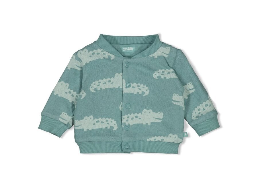 Omkeerbaar bomberjack - You Croc my World zeegroen