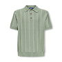 SAIM REG 12 STRIPE SS POLO Iceberg Green