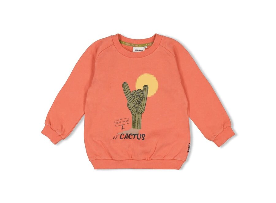 Sweater - Desert Fiesta