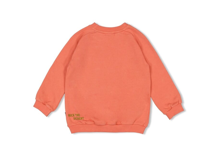 Sweater - Desert Fiesta