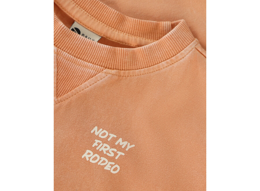 T-shirt Backprint Sandstone