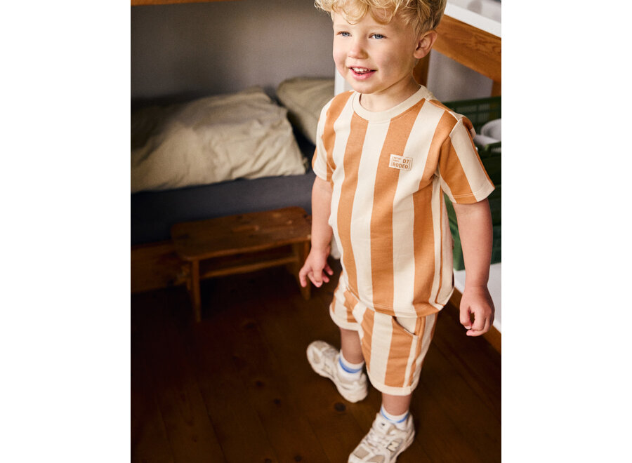Shorts Big Stripe Sandstone
