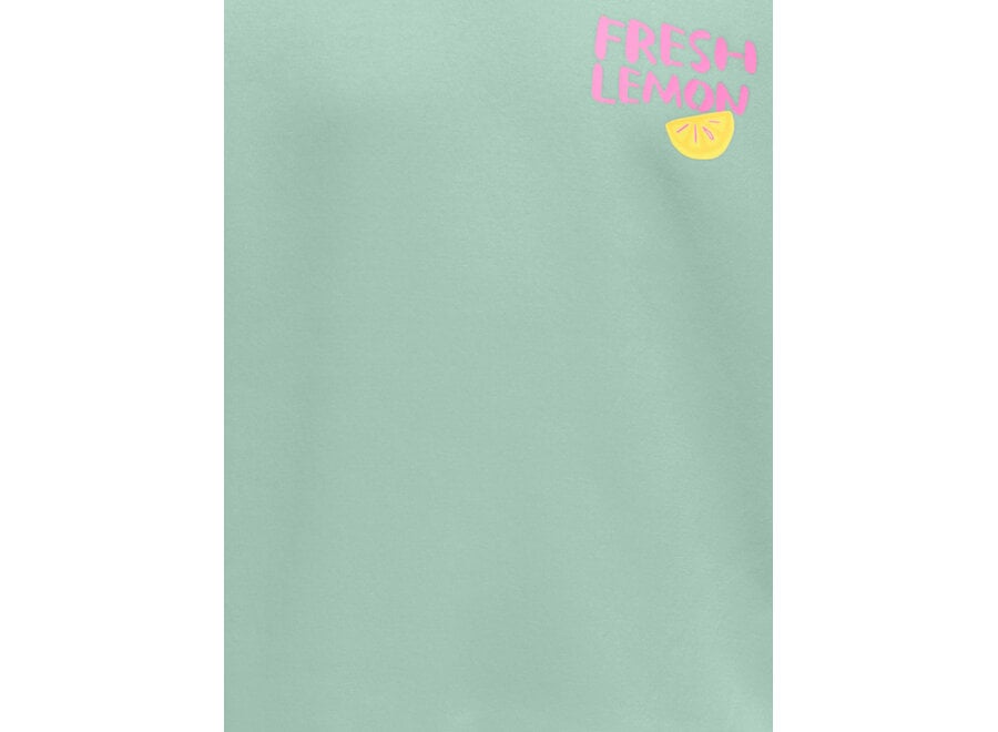Trui Canasta - Aqua foam lemon