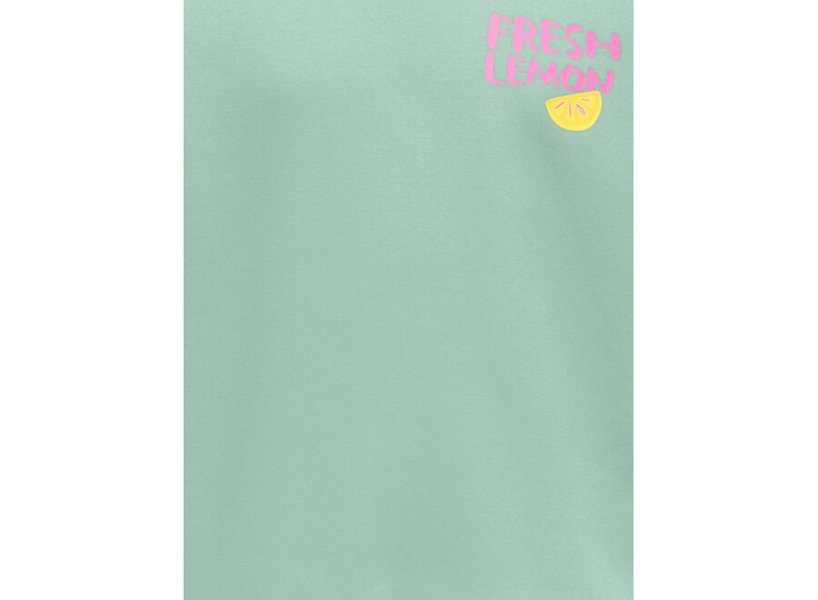 Trui Canasta - Aqua foam lemon