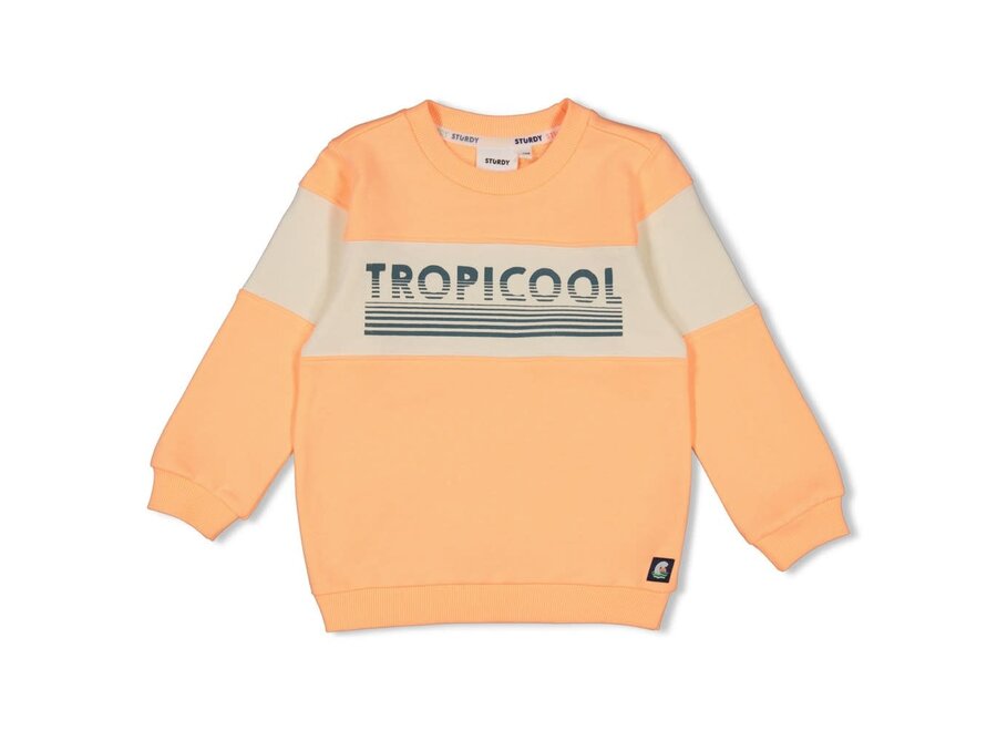 Sweater - Lagoon Legends - Neon Oranje