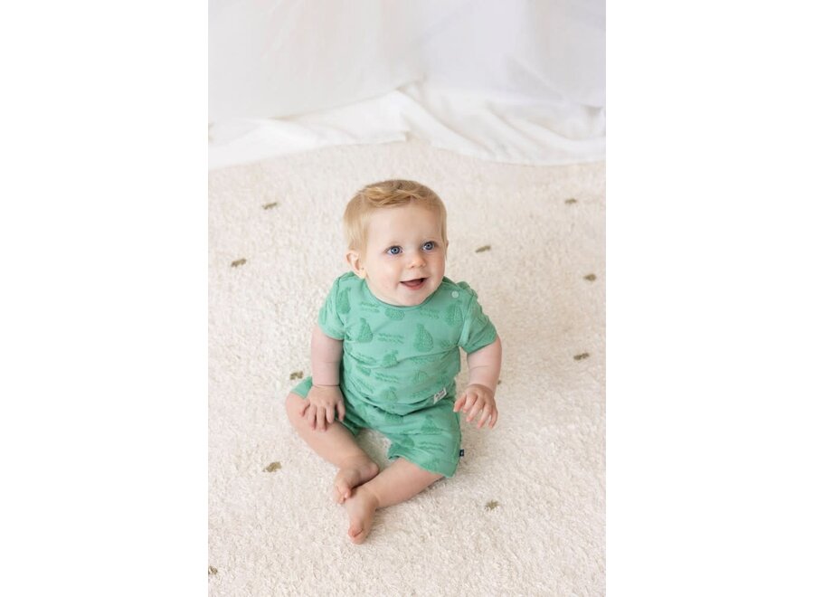 Short AO badstof - Seaside Happiness - Groen