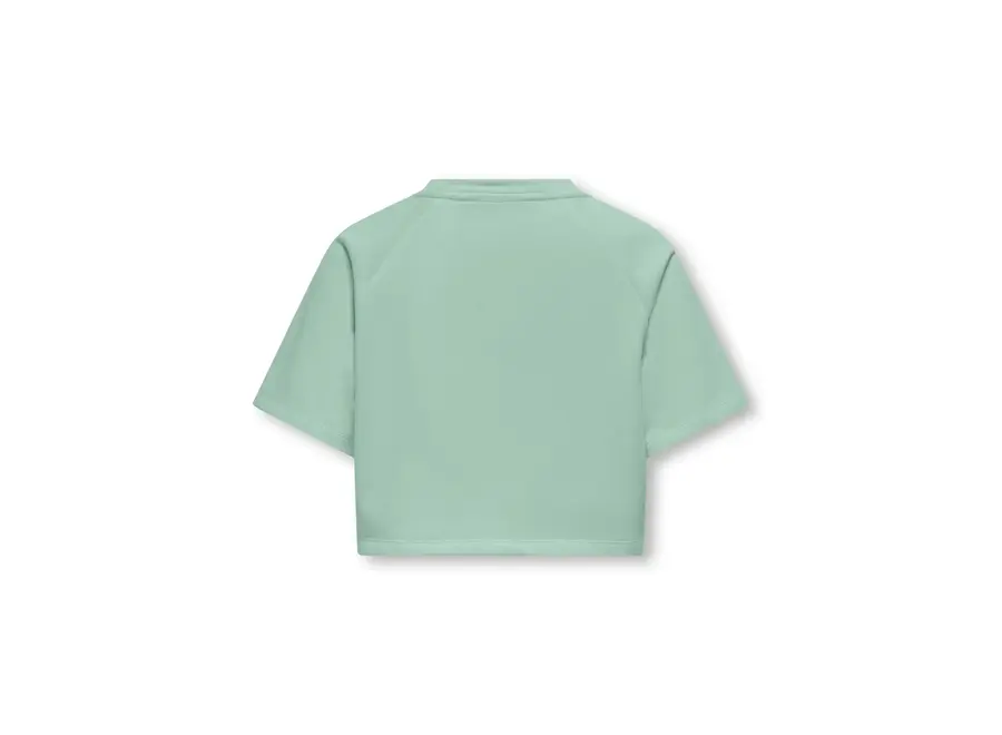 CORA S/S PRINT O-NECK Aqua Foam Le Marais