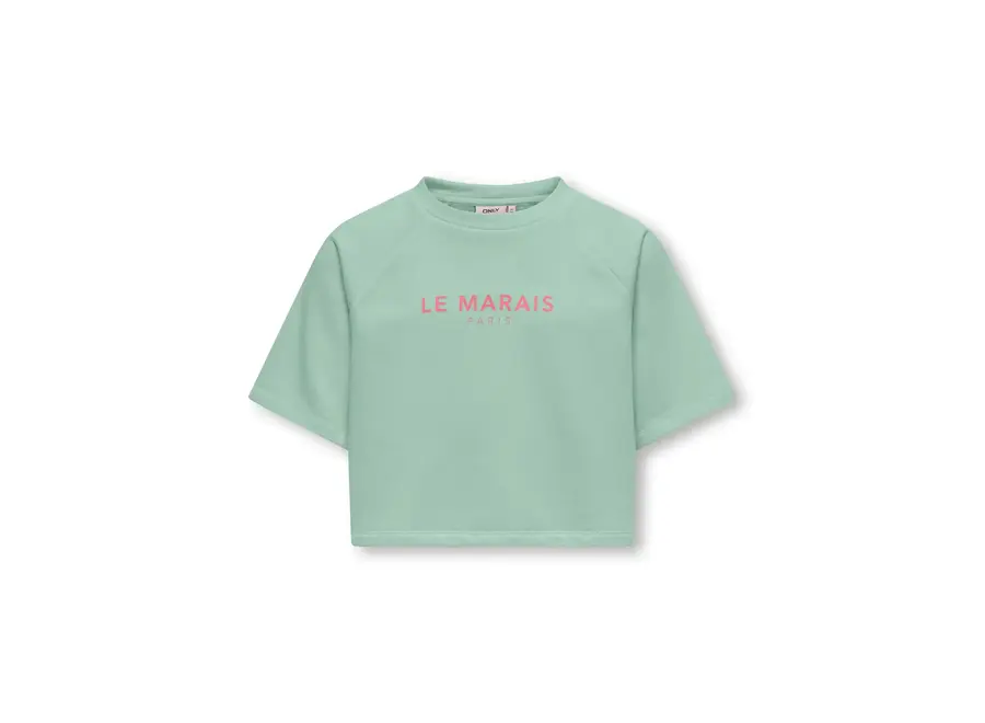 CORA S/S PRINT O-NECK Aqua Foam Le Marais