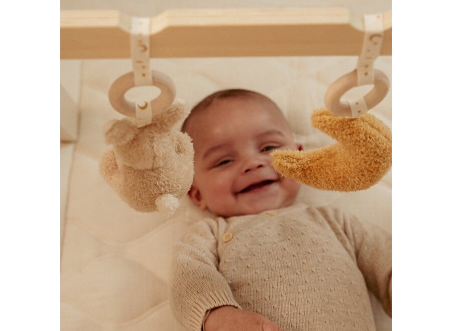 Babygym Newborn Naturals