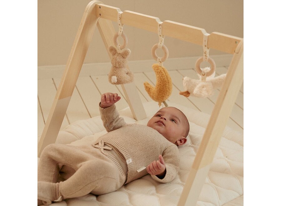 Babygym Newborn Naturals