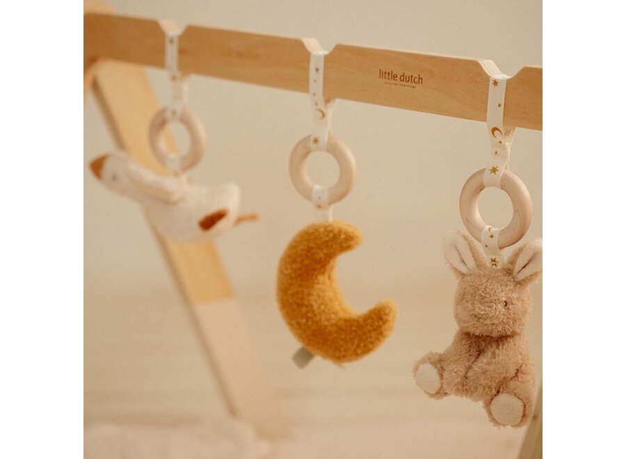 Babygym Newborn Naturals