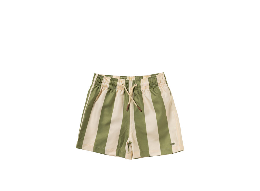 Wide Stripe | Swim Shorts - Iguana
