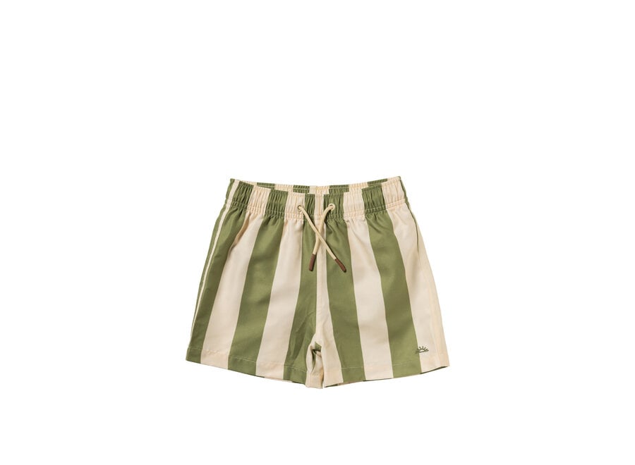 Wide Stripe | Swim Shorts - Iguana