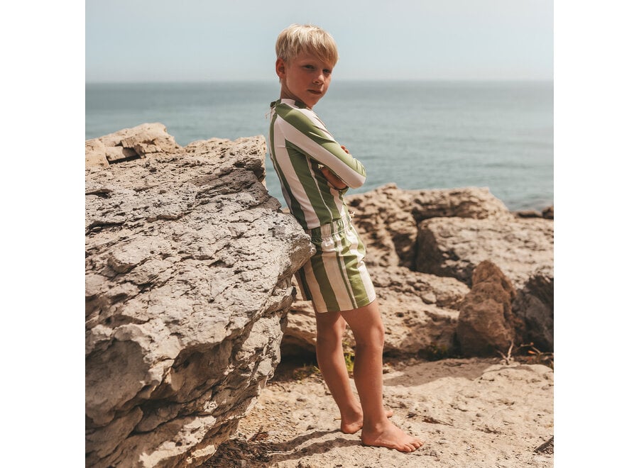 Wide Stripe | Swim Shorts - Iguana