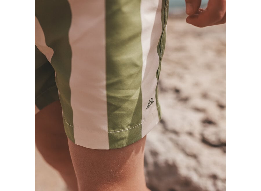 Wide Stripe | Swim Shorts - Iguana