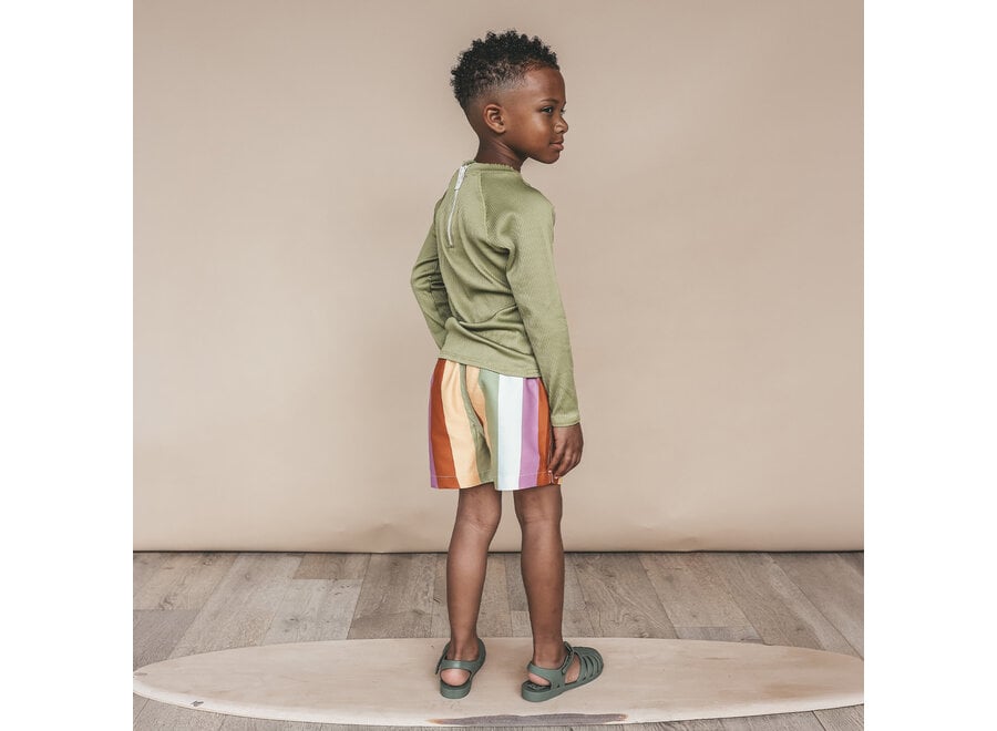 Multi Stripe | Swim Shorts - Multicolor