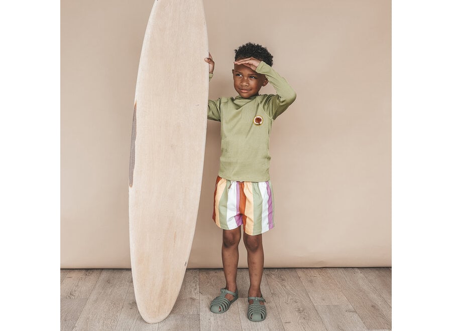 Multi Stripe | Swim Shorts - Multicolor