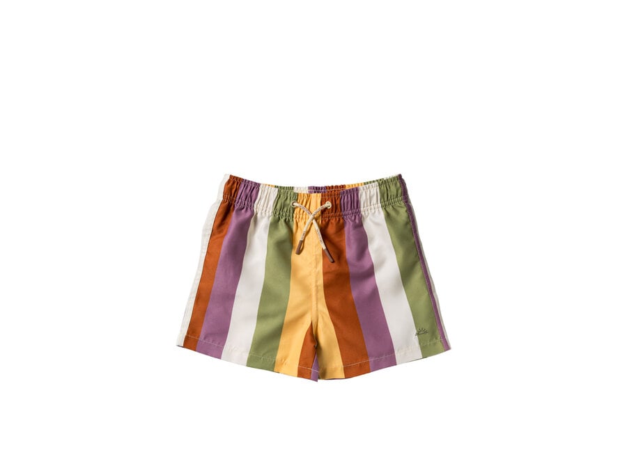 Multi Stripe | Swim Shorts - Multicolor