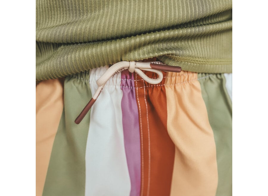 Multi Stripe | Swim Shorts - Multicolor