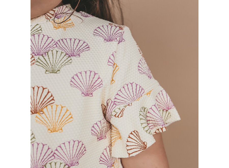 Shells | Set - Multicolor