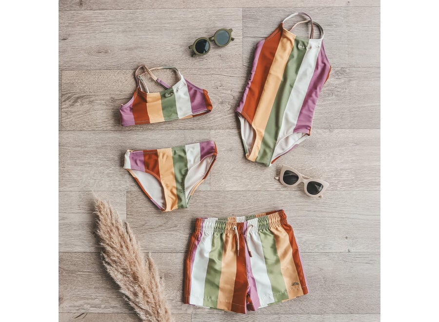 Multi Stripe | Swimsuit - Multicolor