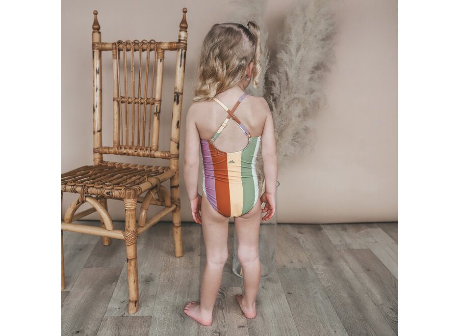 Multi Stripe | Swimsuit - Multicolor