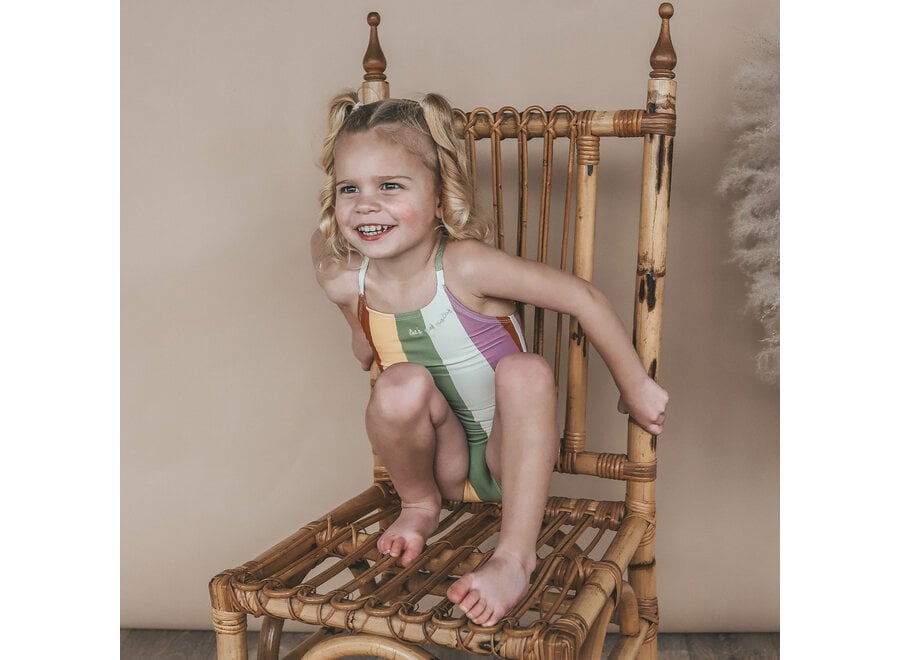 Multi Stripe | Swimsuit - Multicolor