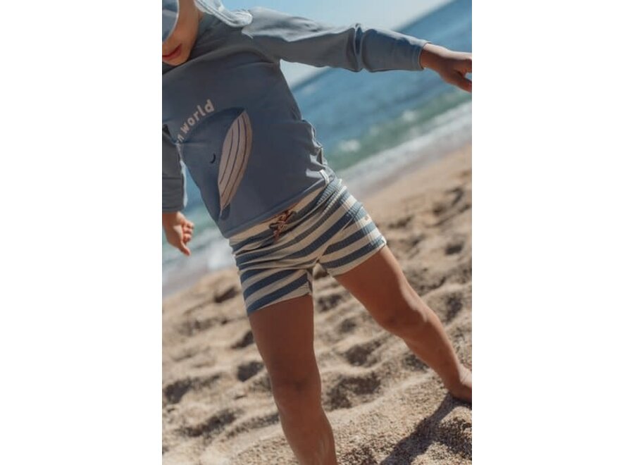 Zwem broek Ocean Blue Stripes