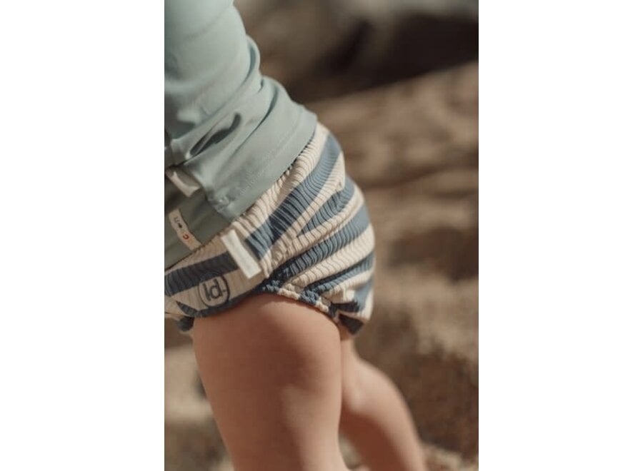 Zwem luier Ocean Blue Stripes