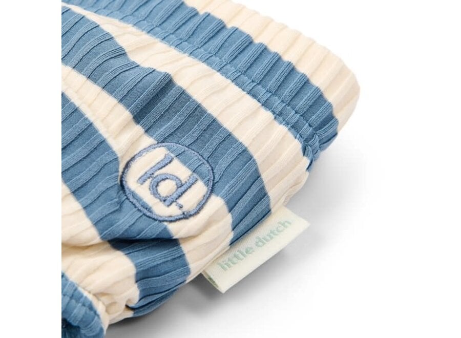 Zwem luier Ocean Blue Stripes