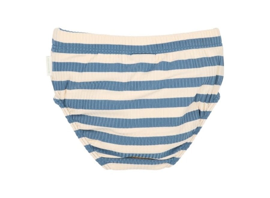 Zwem luier Ocean Blue Stripes