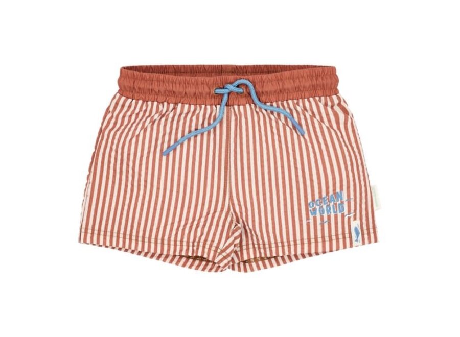 Zwem short Ocean Brown Stripes