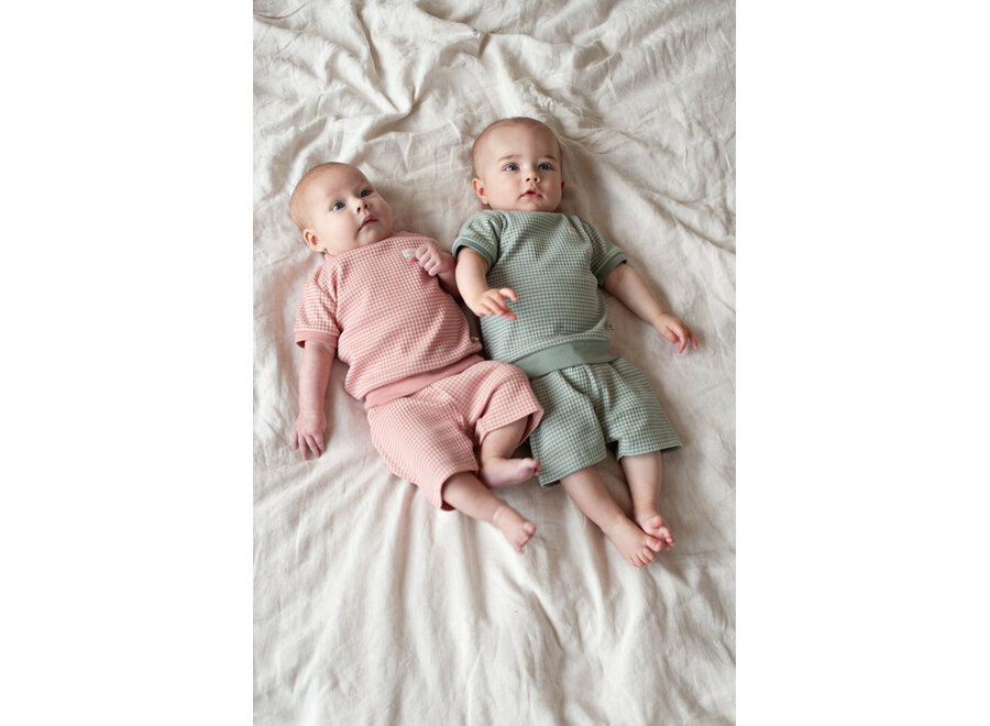 Shortama wafel - Summer Special - Zeegroen