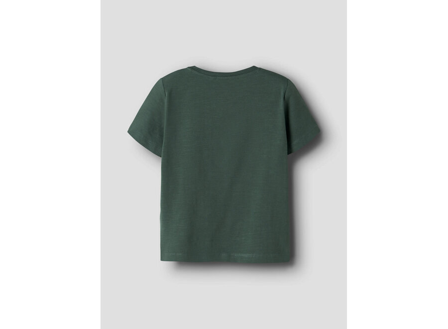 Top Hugo - Garden Topiary