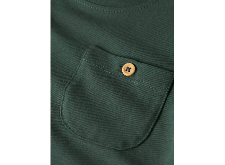 Top Hugo - Garden Topiary