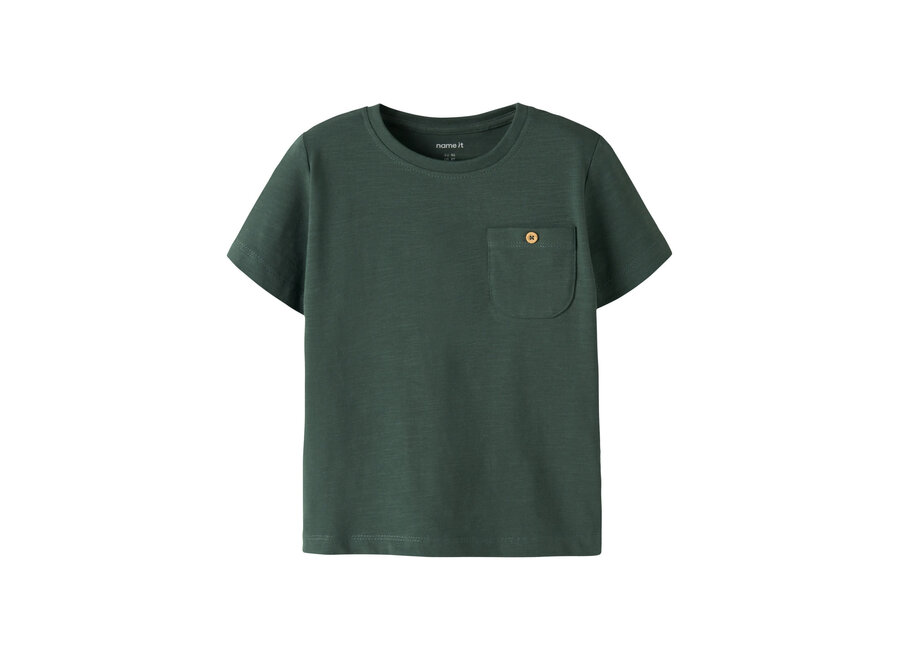 Top Hugo - Garden Topiary