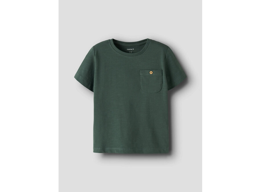 Top Hugo - Garden Topiary